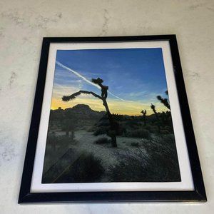 Arizona Sunset Catus Photo 11.5x9.5